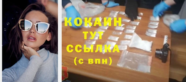 сатива Кукмор