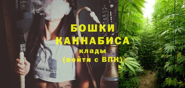 сатива Кукмор