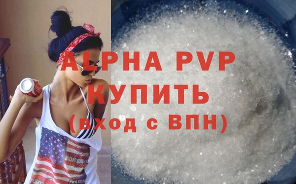 сатива Кукмор
