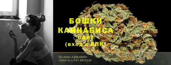 сатива Кукмор